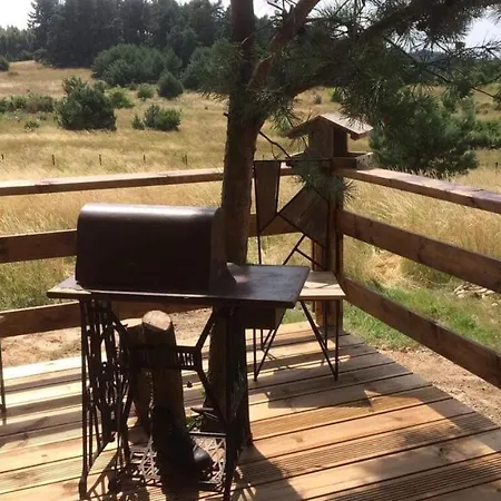 Ptasia Osada Domek Puszczyk Lodge Gardna Wielka